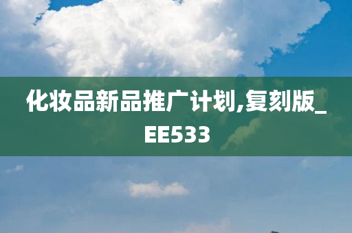 化妆品新品推广计划,复刻版_EE533