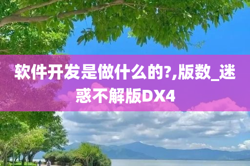 软件开发是做什么的?,版数_迷惑不解版DX4