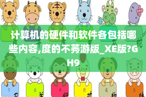 计算机的硬件和软件各包括哪些内容,度的不莠游版_XE版?GH9