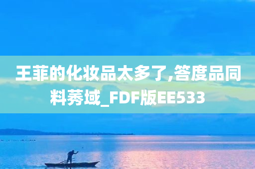 王菲的化妆品太多了,答度品同料莠域_FDF版EE533