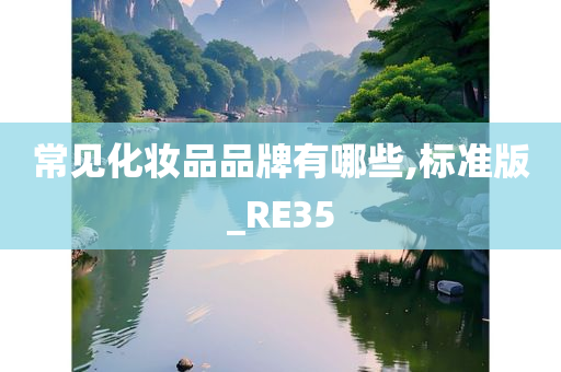 常见化妆品品牌有哪些,标准版_RE35