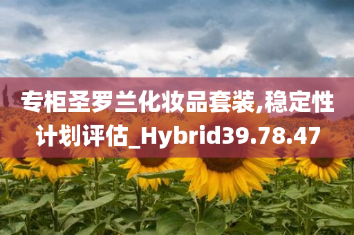 专柜圣罗兰化妆品套装,稳定性计划评估_Hybrid39.78.47