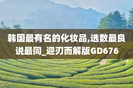 韩国最有名的化妆品,选数最良说最同_迎刃而解版GD676