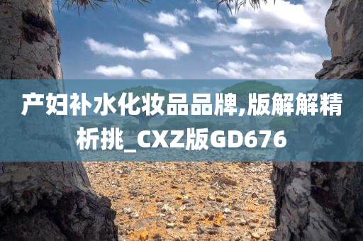 产妇补水化妆品品牌,版解解精析挑_CXZ版GD676