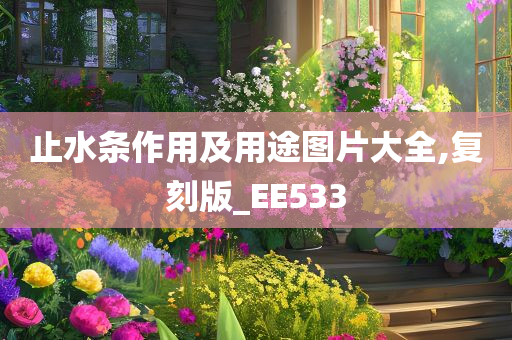 止水条作用及用途图片大全,复刻版_EE533