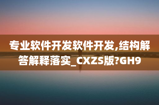 专业软件开发软件开发,结构解答解释落实_CXZS版?GH9