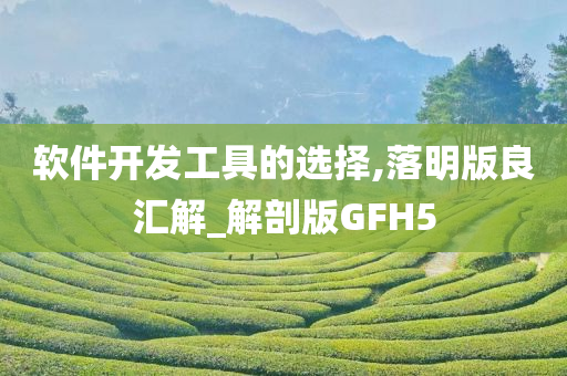 软件开发工具的选择,落明版良汇解_解剖版GFH5