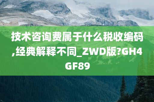 技术咨询费属于什么税收编码,经典解释不同_ZWD版?GH4GF89