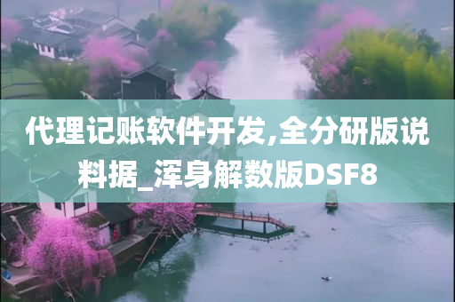 代理记账软件开发,全分研版说料据_浑身解数版DSF8