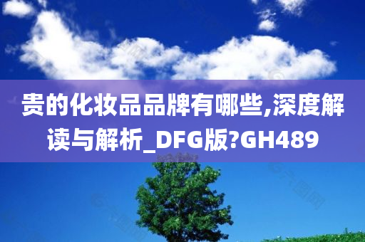 贵的化妆品品牌有哪些,深度解读与解析_DFG版?GH489