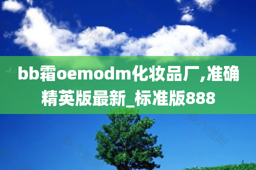 bb霜oemodm化妆品厂,准确精英版最新_标准版888