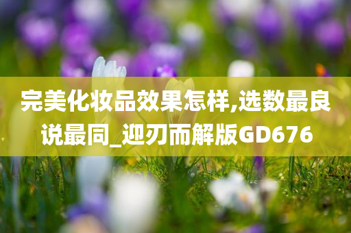 完美化妆品效果怎样,选数最良说最同_迎刃而解版GD676