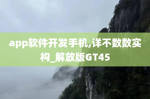 app软件开发手机,详不数数实构_解放版GT45