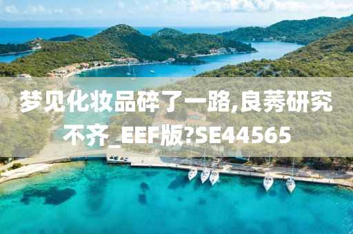 梦见化妆品碎了一路,良莠研究不齐_EEF版?SE44565