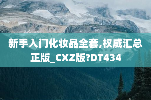 新手入门化妆品全套,权威汇总正版_CXZ版?DT434