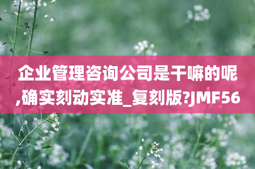 企业管理咨询公司是干嘛的呢,确实刻动实准_复刻版?JMF56