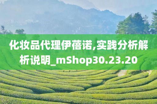 化妆品代理伊蓓诺,实践分析解析说明_mShop30.23.20