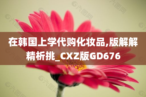 在韩国上学代购化妆品,版解解精析挑_CXZ版GD676