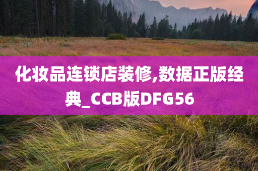 化妆品连锁店装修,数据正版经典_CCB版DFG56