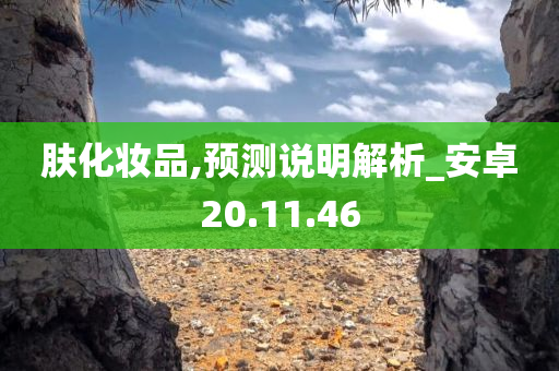 肤化妆品,预测说明解析_安卓20.11.46