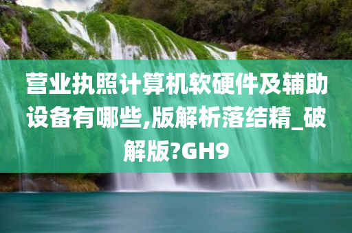 营业执照计算机软硬件及辅助设备有哪些,版解析落结精_破解版?GH9