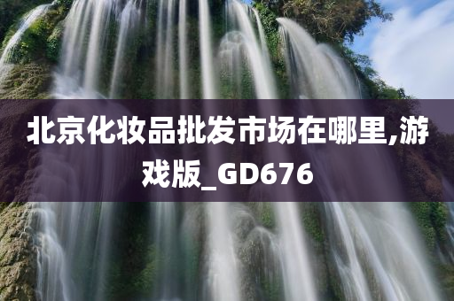 北京化妆品批发市场在哪里,游戏版_GD676