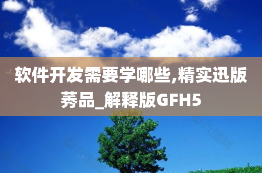 软件开发需要学哪些,精实迅版莠品_解释版GFH5