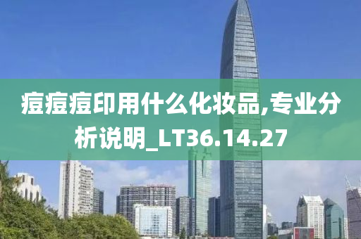 痘痘痘印用什么化妆品,专业分析说明_LT36.14.27