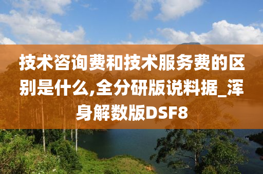 技术咨询费和技术服务费的区别是什么,全分研版说料据_浑身解数版DSF8