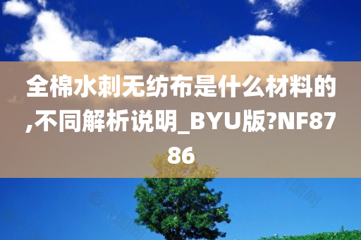 全棉水刺无纺布是什么材料的,不同解析说明_BYU版?NF8786