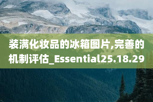 装满化妆品的冰箱图片,完善的机制评估_Essential25.18.29