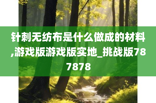 针刺无纺布是什么做成的材料,游戏版游戏版实地_挑战版787878