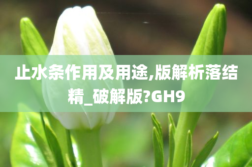 止水条作用及用途,版解析落结精_破解版?GH9