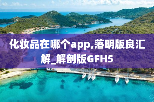 化妆品在哪个app,落明版良汇解_解剖版GFH5