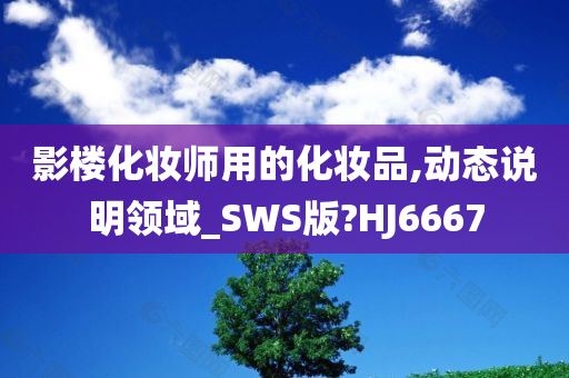 影楼化妆师用的化妆品,动态说明领域_SWS版?HJ6667