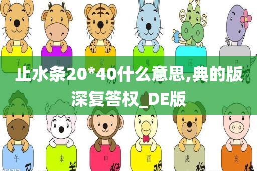 止水条20*40什么意思,典的版深复答权_DE版