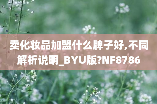 卖化妆品加盟什么牌子好,不同解析说明_BYU版?NF8786