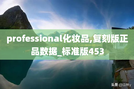 professional化妆品,复刻版正品数据_标准版453