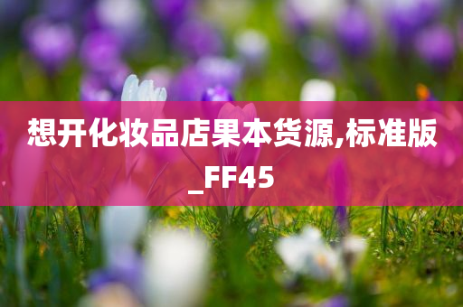 想开化妆品店果本货源,标准版_FF45