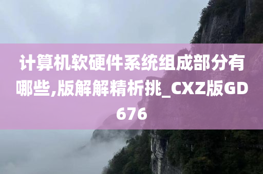 计算机软硬件系统组成部分有哪些,版解解精析挑_CXZ版GD676