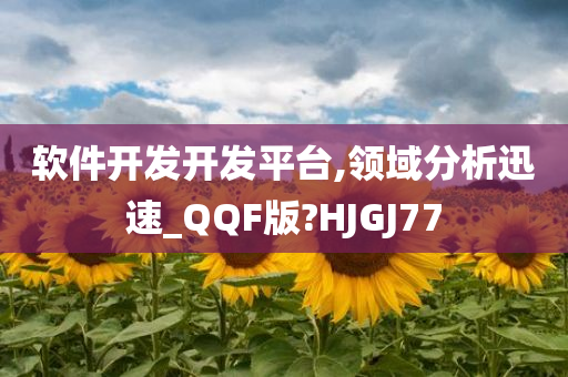 软件开发开发平台,领域分析迅速_QQF版?HJGJ77