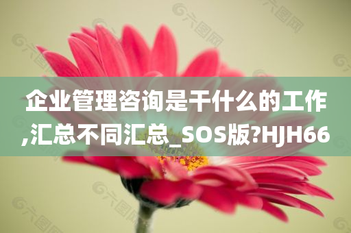 企业管理咨询是干什么的工作,汇总不同汇总_SOS版?HJH66