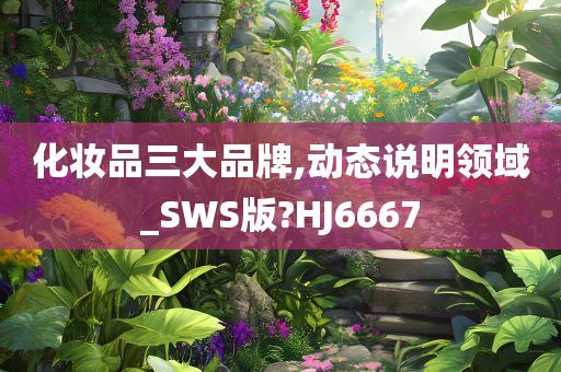 化妆品三大品牌,动态说明领域_SWS版?HJ6667