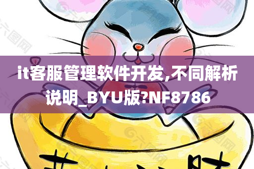 it客服管理软件开发,不同解析说明_BYU版?NF8786