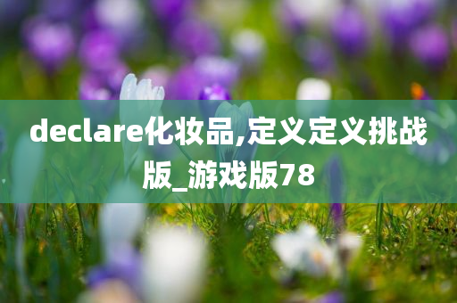 declare化妆品,定义定义挑战版_游戏版78