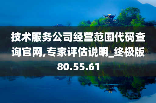 技术服务公司经营范围代码查询官网,专家评估说明_终极版80.55.61