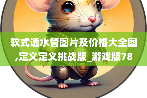 软式透水管图片及价格大全图,定义定义挑战版_游戏版78