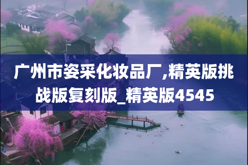 广州市姿采化妆品厂,精英版挑战版复刻版_精英版4545