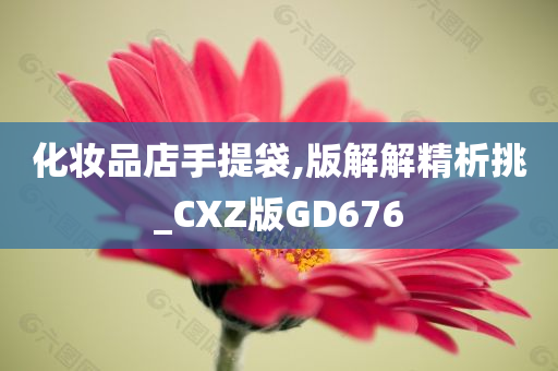 化妆品店手提袋,版解解精析挑_CXZ版GD676