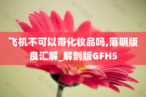 飞机不可以带化妆品吗,落明版良汇解_解剖版GFH5